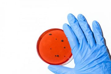 cosmetici senza conservanti