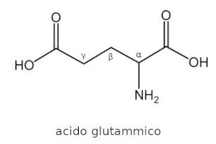 acido poliglutammico - struttura base acido glutammico