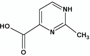 ectoina nei cosmetici