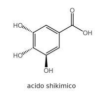Acido shikimico nei cosmetici acido shikimico nei cosmetici, struttura chimica