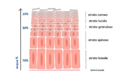 livello idratazione cutanea